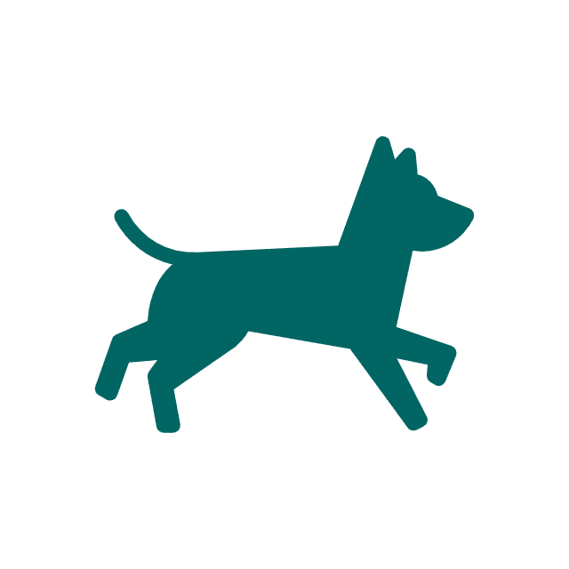 dog running svgrepo com (1)